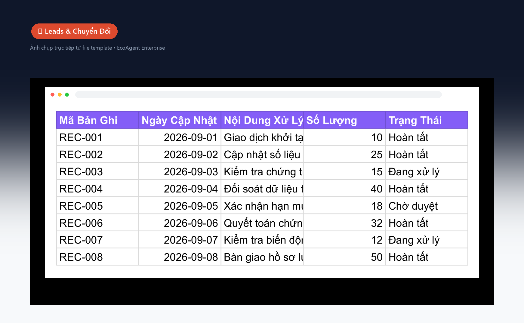 🎯 Leads & Chuyển Đổi — Danh sách leads: tên, SĐT, email, nguồn (Ads / SEO / Referral), giá trị dự kiến, trạng thái (mới / liên hệ / qualified / won), tỷ lệ chuyển đổi theo nguồn.