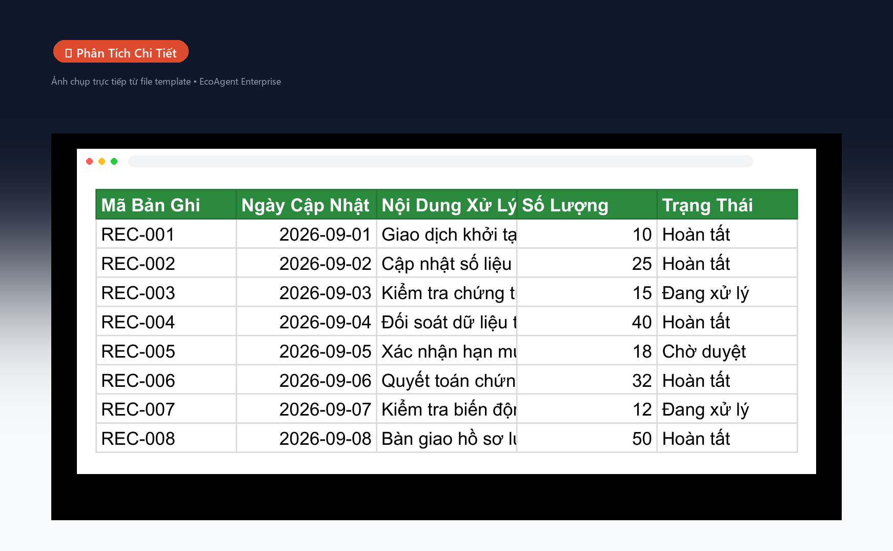 📊 Phân Tích Chi Tiết — Bảng dữ liệu chính của template: giao dịch tài chính, chuỗi thói quen, danh mục đầu tư, buổi tập, sách đã đọc — có lọc / sắp xếp.