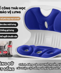 GHẾ CÔNG THÁI HỌC CHỐNG ĐAU LƯNG LÀM THẲNG CỘT SỐNG - PHÙ HỢP TRẺ EM NGƯỜI LỚN NGƯỜI GIÀ - Ghế CTH Xanh Lam